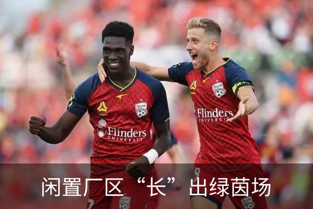 闲置厂区“长”出绿茵场