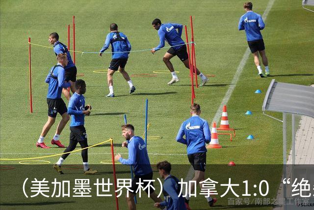 （美加墨世界杯）加拿大1:0“绝杀”南非 队史首进16强
